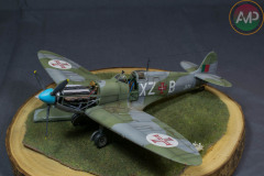 AMP-0305-289