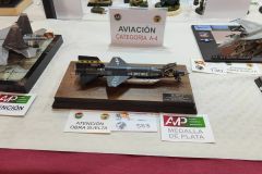 Plata-553-X-15