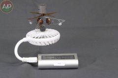 ORO_XXX-CONCURSO-MODELISMO-PLASENCIA-143_A1-scaled