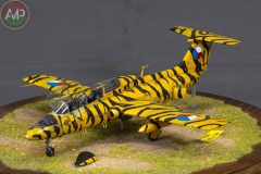 ORO_XXX-CONCURSO-MODELISMO-PLASENCIA_134_A4-scaled