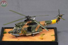 XXX-CONCURSO-MODELISMO-PLASENCIA_496_A2-scaled