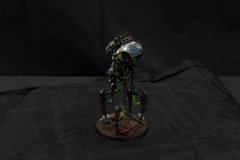 468-06102023-5681