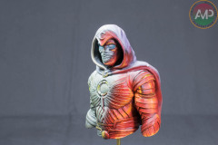 AMP-0177-333_C6-2022