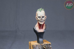 AMP-0178-101_C6-2022