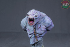 AMP-0234-336_C6-2022