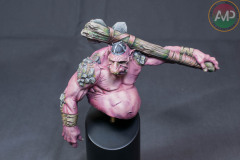 AMP-0470-213_C6-2022