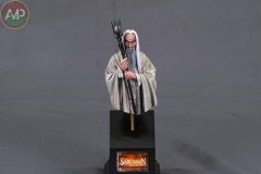 XXX-CONCURSO-MODELISMO-PLASENCIA_232_C4-scaled