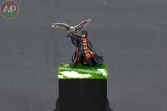 XXX-CONCURSO-MODELISMO-PLASENCIA_289_C1-scaled