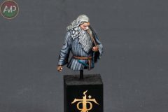 XXX-CONCURSO-MODELISMO-PLASENCIA_353_C4-scaled