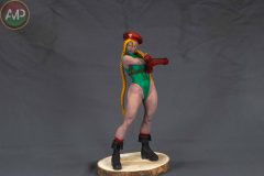 XXX-CONCURSO-MODELISMO-PLASENCIA_480_C2-scaled