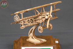 XXX-CONCURSO-MODELISMO-PLASENCIA_106_J2-scaled