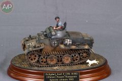 BRONCE_XXX-CONCURSO-MODELISMO-PLASENCIA_315_M3-scaled