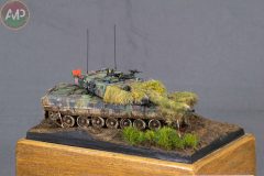 ORO_XXX-CONCURSO-MODELISMO-PLASENCIA_575_M1-1-scaled