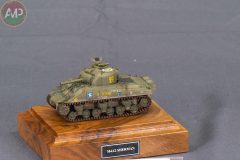 PLATA_XXX-CONCURSO-MODELISMO-PLASENCIA_152_M1-1-scaled